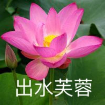 战争怒吼九游版下载